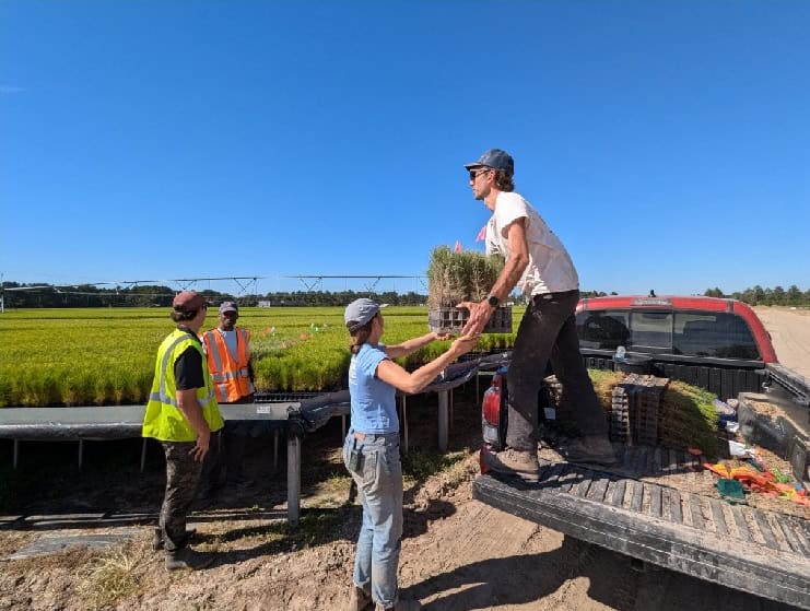 Growing the future of forests - nursery unload